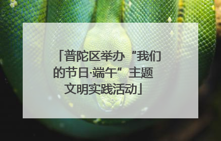 普陀区举办“我们的节日·端午”主题文明实践活动