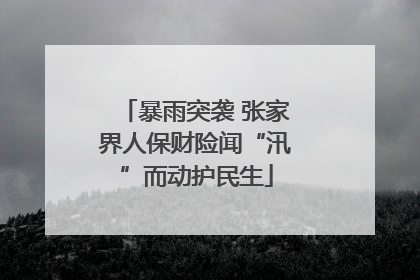 暴雨突袭 张家界人保财险闻“汛”而动护民生