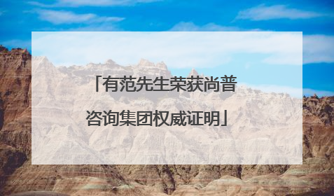 有范先生荣获尚普咨询集团权威证明