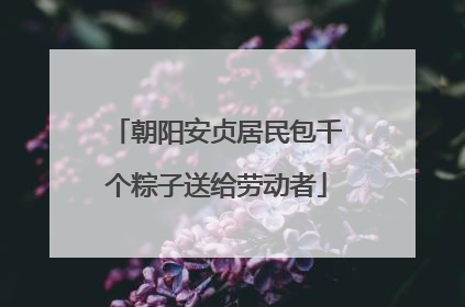 朝阳安贞居民包千个粽子送给劳动者