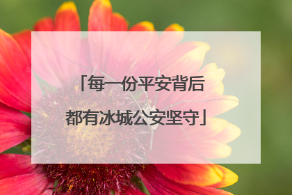 每一份平安背后 都有冰城公安坚守