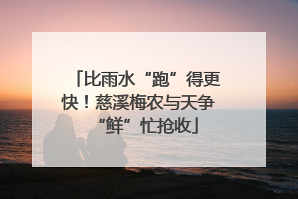 比雨水“跑”得更快！慈溪梅农与天争“鲜”忙抢收