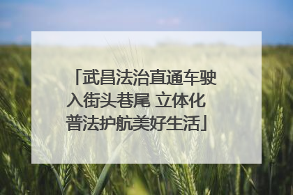 武昌法治直通车驶入街头巷尾 立体化普法护航美好生活