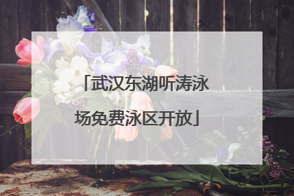 武汉东湖听涛泳场免费泳区开放