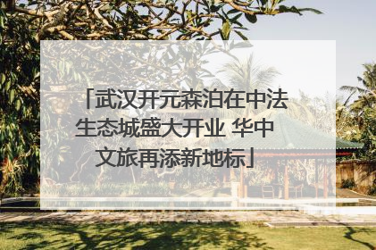 武汉开元森泊在中法生态城盛大开业 华中文旅再添新地标