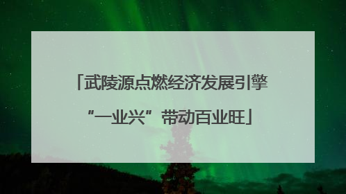 武陵源点燃经济发展引擎 “一业兴”带动百业旺
