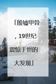 殷墟甲骨，19世纪震惊于世的大发现