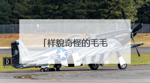 样貌奇怪的毛毛虫现身厦门公园步道，它们是啥？专业人士提醒→