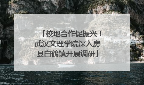 校地合作促振兴！武汉文理学院深入房县白鹤镇开展调研