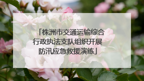 株洲市交通运输综合行政执法支队组织开展防汛应急救援演练