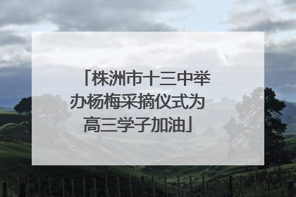 株洲市十三中举办杨梅采摘仪式为高三学子加油