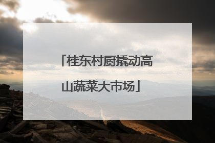 桂东村厨撬动高山蔬菜大市场