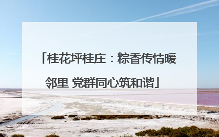 桂花坪桂庄：粽香传情暖邻里 党群同心筑和谐