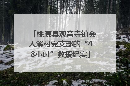 桃源县观音寺镇会人溪村党支部的“48小时”救援纪实