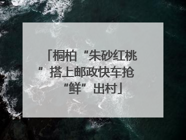 桐柏“朱砂红桃”搭上邮政快车抢“鲜”出村