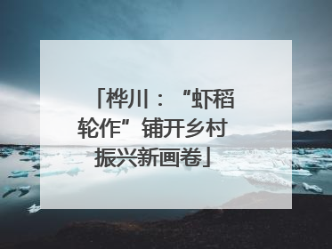 桦川：“虾稻轮作”铺开乡村振兴新画卷