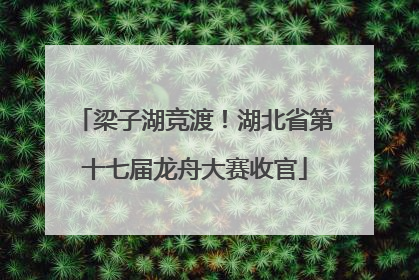 梁子湖竞渡！湖北省第十七届龙舟大赛收官