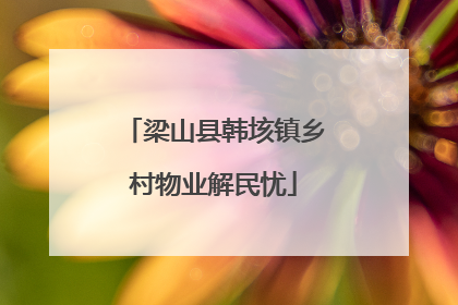 梁山县韩垓镇乡村物业解民忧