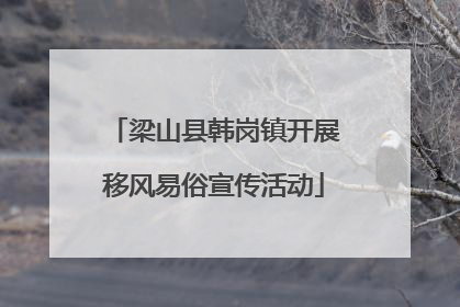 梁山县韩岗镇开展移风易俗宣传活动