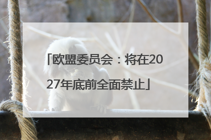 欧盟委员会：将在2027年底前全面禁止
