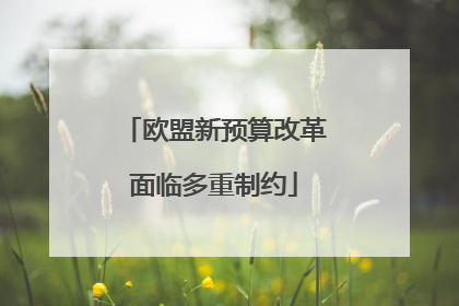 欧盟新预算改革面临多重制约