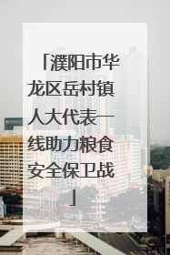 濮阳市华龙区岳村镇人大代表一线助力粮食安全保卫战