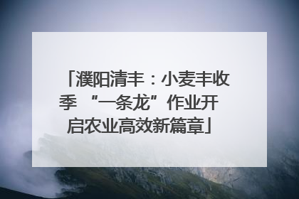 濮阳清丰：小麦丰收季 “一条龙”作业开启农业高效新篇章