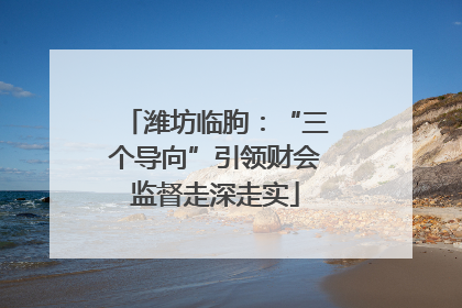 潍坊临朐：“三个导向”引领财会监督走深走实