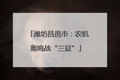 潍坊昌邑市：农机轰鸣战“三夏”