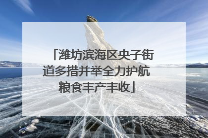 潍坊滨海区央子街道多措并举全力护航粮食丰产丰收