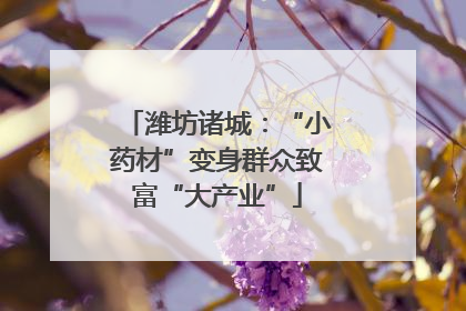 潍坊诸城：“小药材”变身群众致富“大产业”