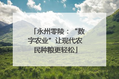 永州零陵：“数字农业”让现代农民种粮更轻松