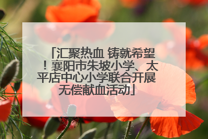 汇聚热血 铸就希望！襄阳市朱坡小学、太平店中心小学联合开展无偿献血活动