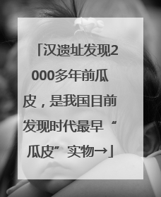 汉遗址发现2000多年前瓜皮，是我国目前发现时代最早“瓜皮”实物→
