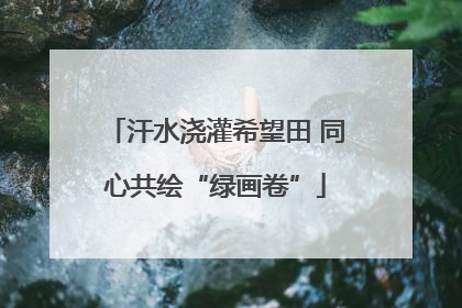 汗水浇灌希望田 同心共绘“绿画卷”