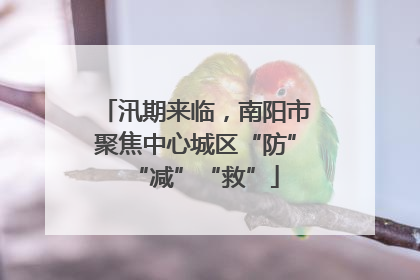 汛期来临，南阳市聚焦中心城区“防”“减”“救”