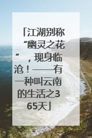 江湖别称“幽灵之花”，现身临沧！——有一种叫云南的生活之365天