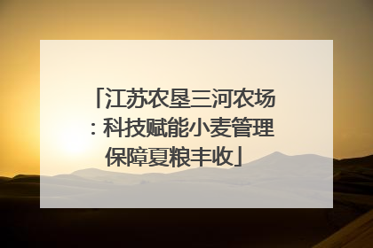 江苏农垦三河农场：科技赋能小麦管理保障夏粮丰收