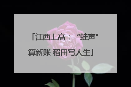 江西上高：“蛙声”算新账 稻田写人生