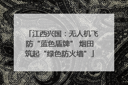 江西兴国：无人机飞防“蓝色盾牌” 烟田筑起“绿色防火墙”