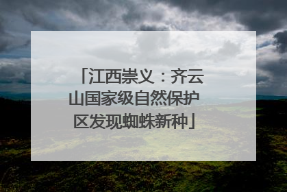 江西崇义：齐云山国家级自然保护区发现蜘蛛新种