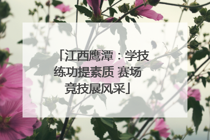 江西鹰潭：学技练功提素质 赛场竞技展风采