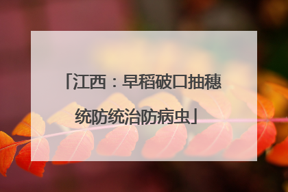 江西：早稻破口抽穗 统防统治防病虫