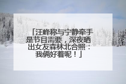 汪峰称与宁静牵手是节目需要，深夜晒出女友森林北合照：我俩好着呢！