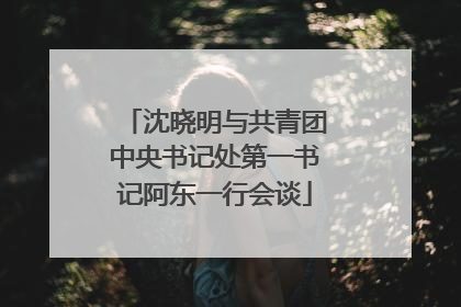 沈晓明与共青团中央书记处第一书记阿东一行会谈