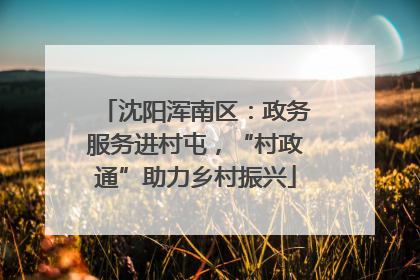 沈阳浑南区：政务服务进村屯，“村政通”助力乡村振兴