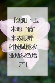 沈阳：玉米地“请”来赤眼蜂 科技赋能农业助绿色增产