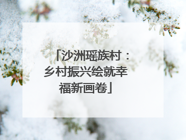 沙洲瑶族村：乡村振兴绘就幸福新画卷