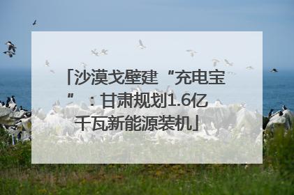 沙漠戈壁建“充电宝”：甘肃规划1.6亿千瓦新能源装机