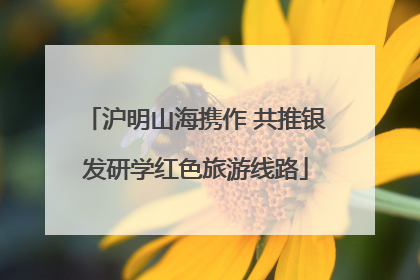 沪明山海携作 共推银发研学红色旅游线路